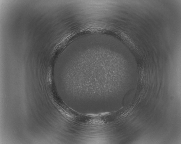 X0000056350644200509232106