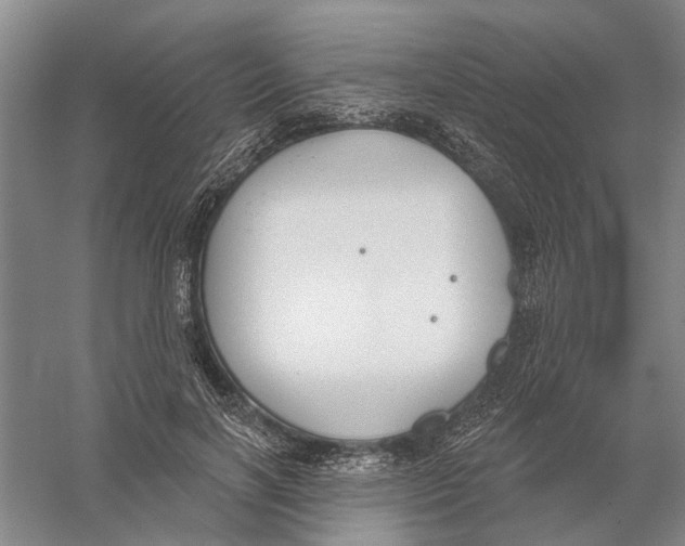 X0000056350646200509232106