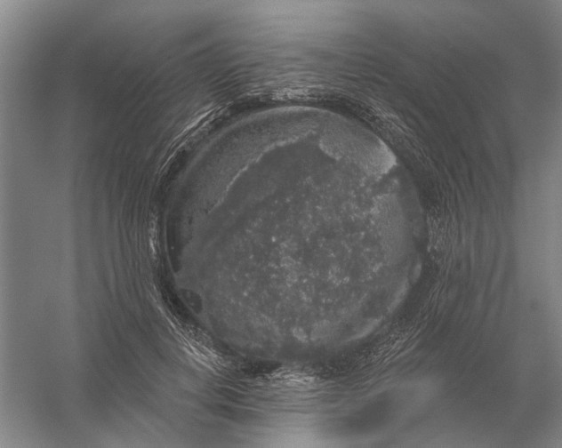 X0000056350648200509232106