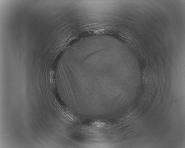 X0000056350650200509232106