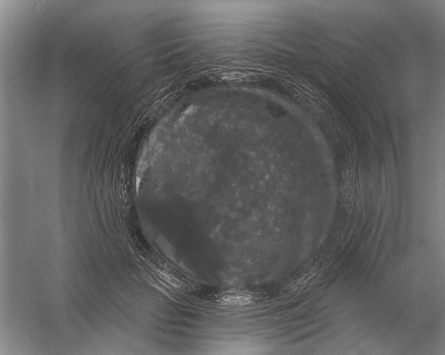 X0000056350653200509232106