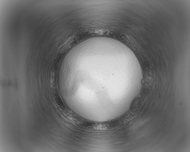 X0000056350656200509232106