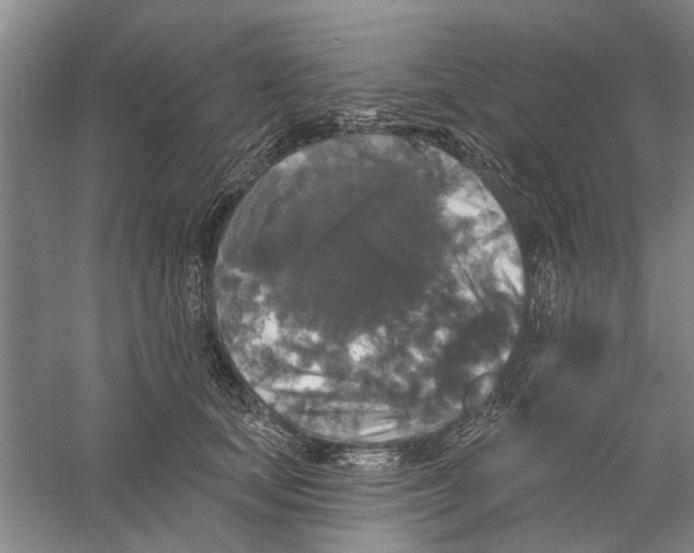 X0000056350659200509232107