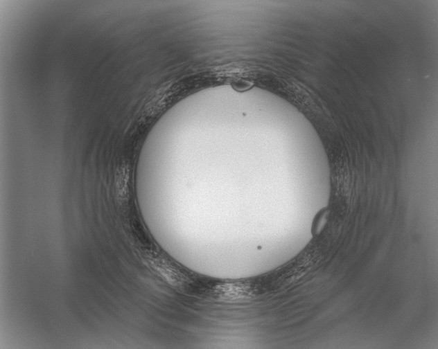 X0000056350660200509232107