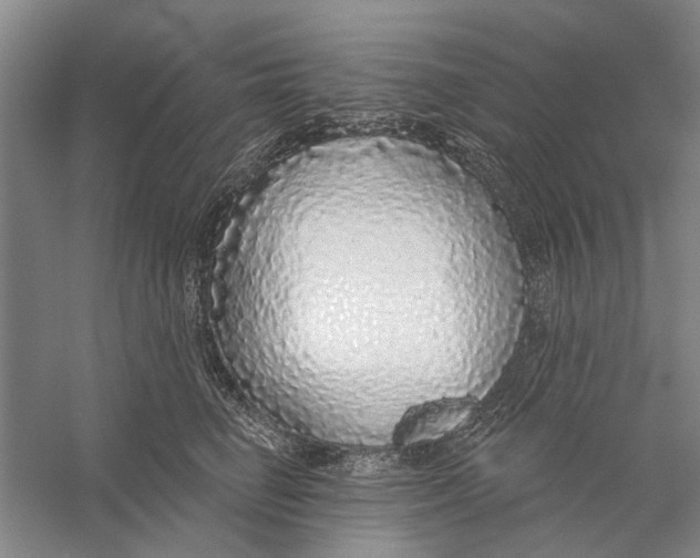 X0000056350662200509232107