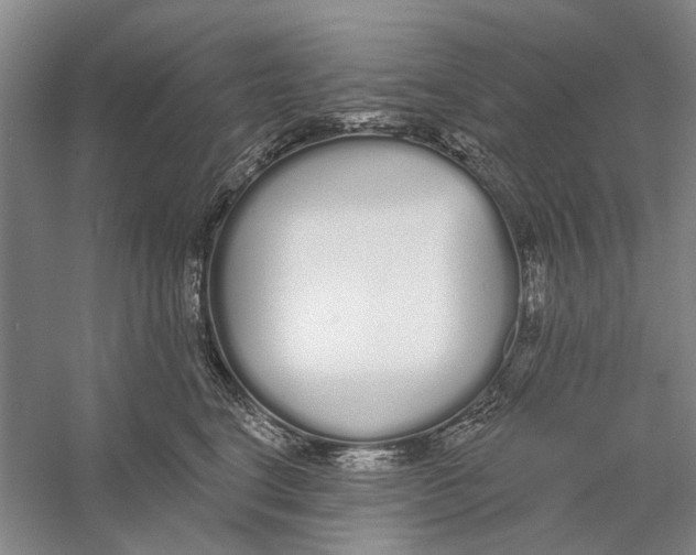 X0000056350664200509232107