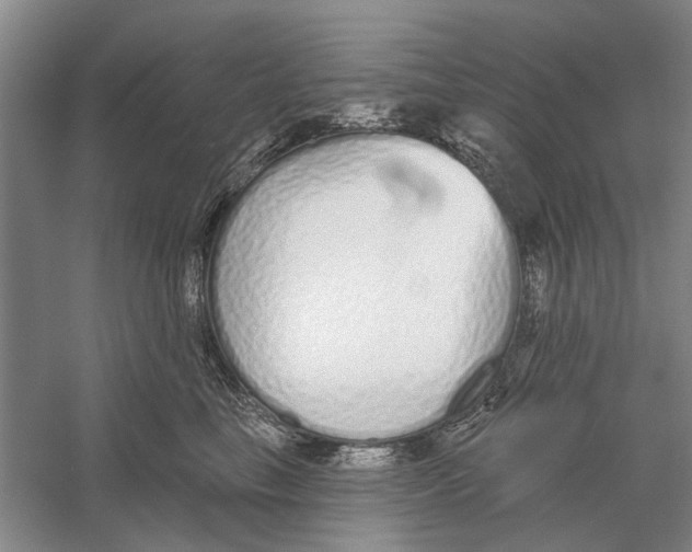 X0000056350665200509232107