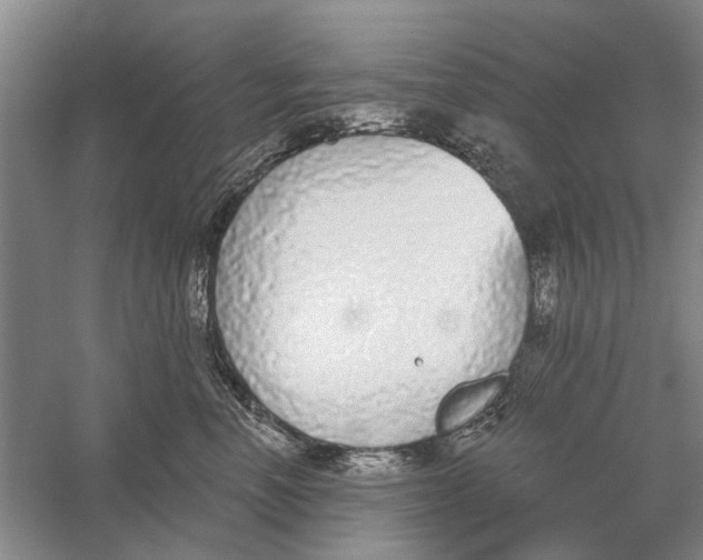 X0000056350666200509232107