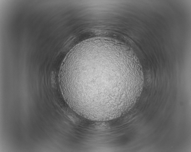 X0000056350667200509232107