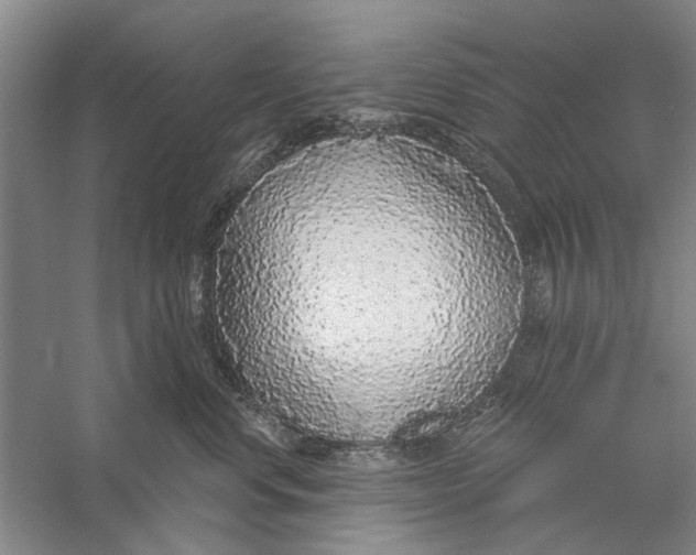 X0000056350668200509232107