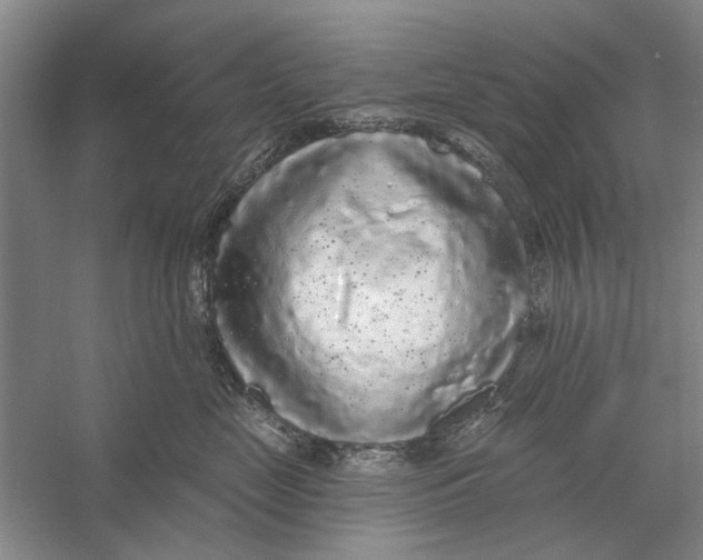 X0000056350669200509232107