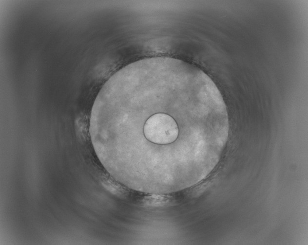 X0000056350672200509232107