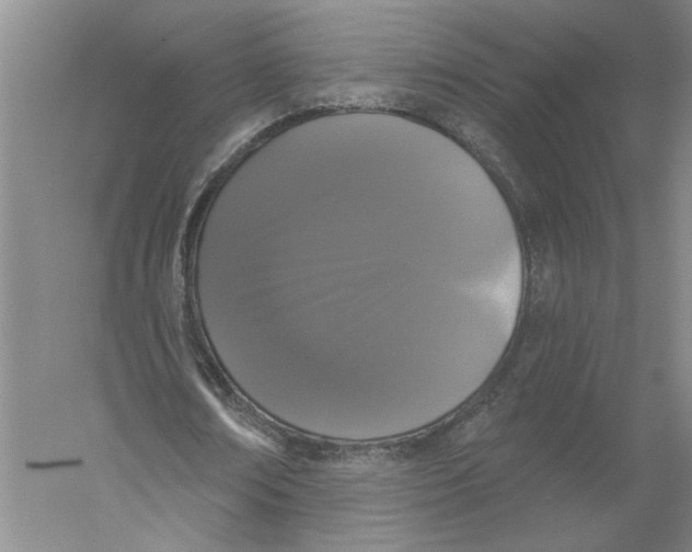 X0000056350674200509232106