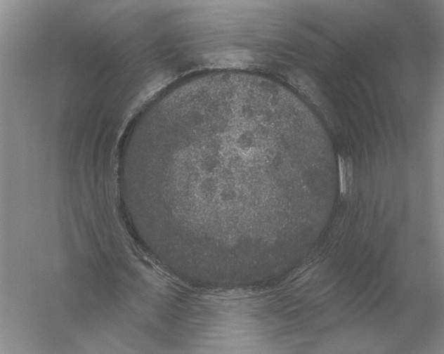 X0000056350675200509232106