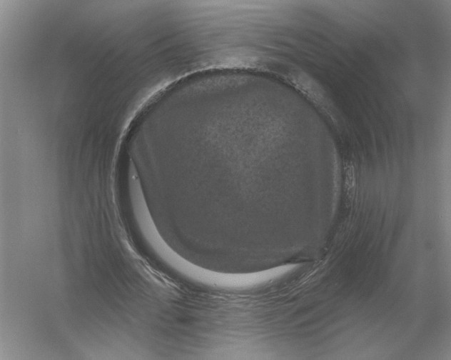 X0000056350676200509232106