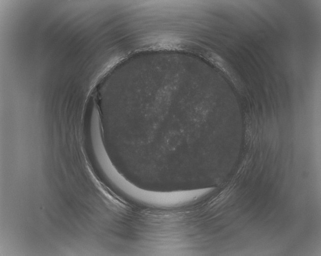 X0000056350677200509232106