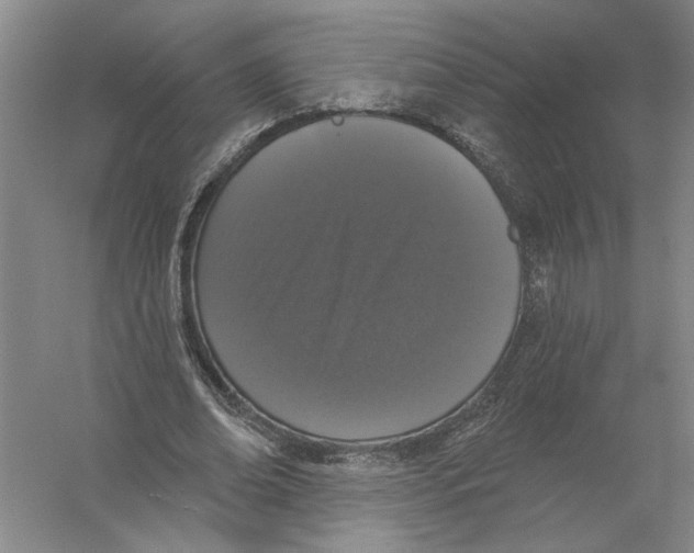 X0000056350678200509232106