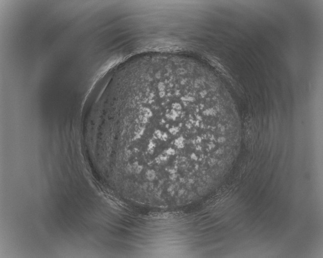 X0000056350679200509232106