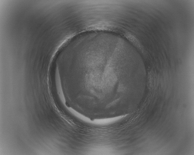 X0000056350680200509232106