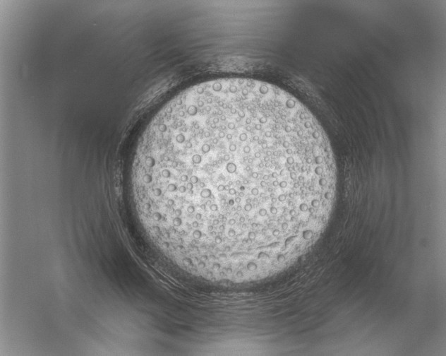 X0000056350683200509232106