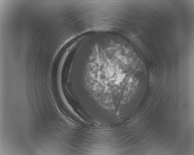 X0000056350684200509232106