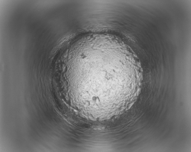 X0000056350687200509232106