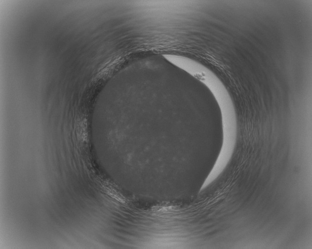 X0000056350689200509232106