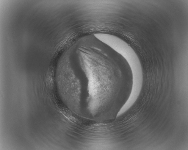 X0000056350691200509232106