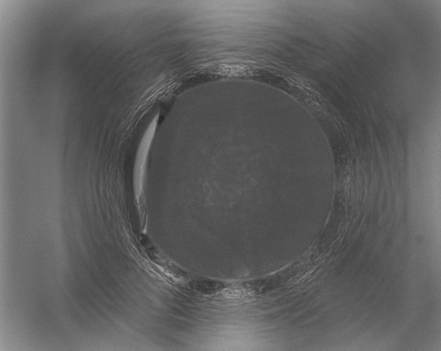 X0000056350696200509232106