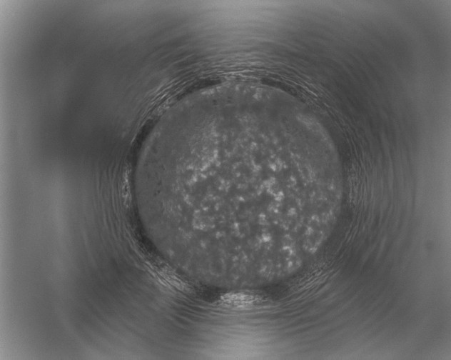 X0000056350699200509232105