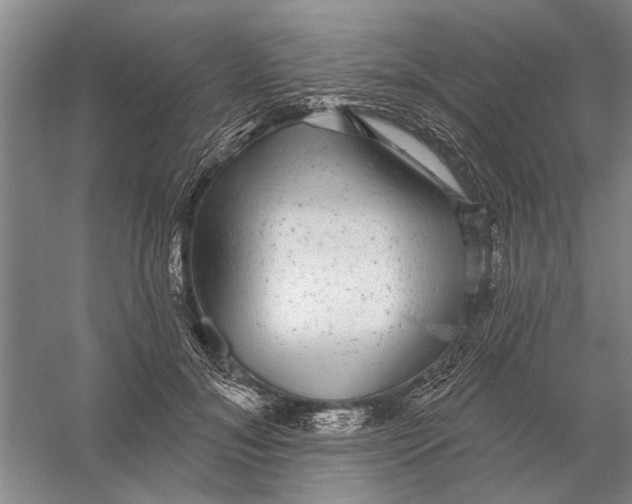 X0000056350700200509232105