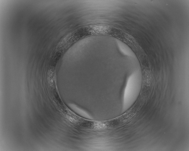 X0000056350701200509232105