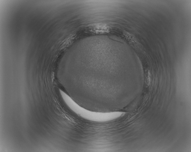 X0000056350704200509232105