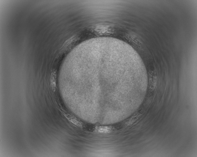 X0000056350710200509232105