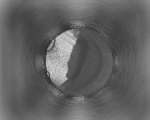 X0000056350715200509232105