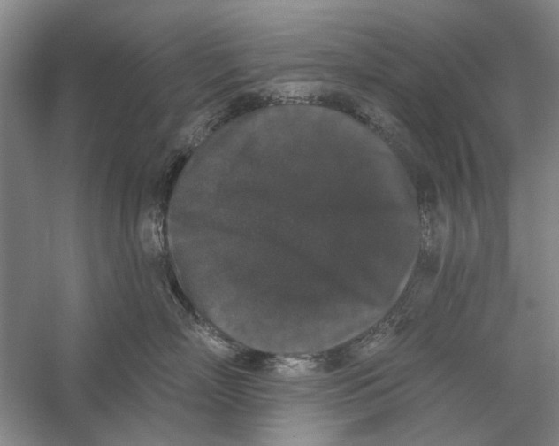 X0000056350718200509232105