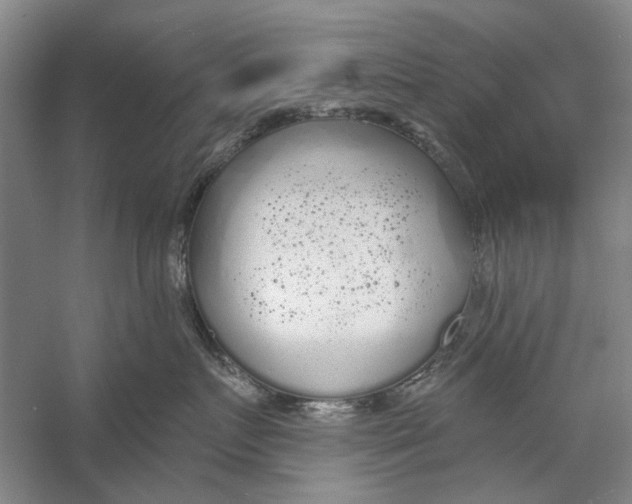 X0000056350719200509232105