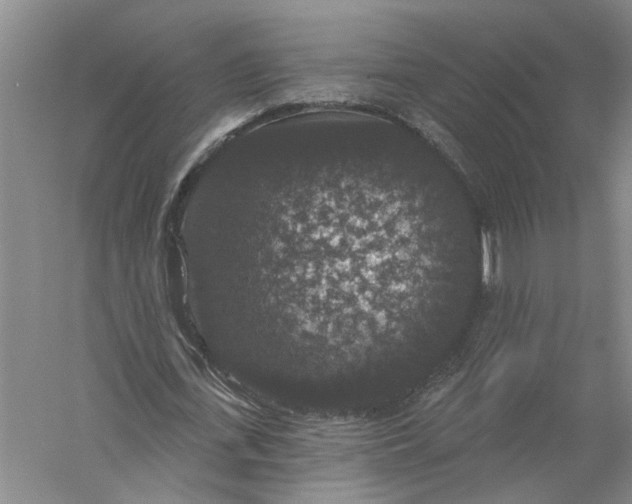 X0000056350723200509232104