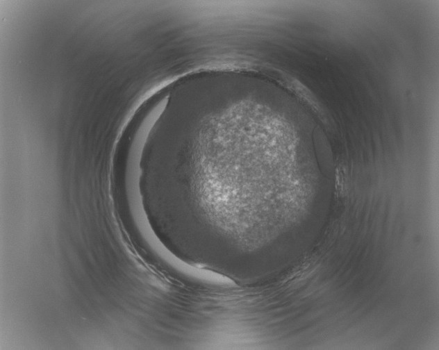 X0000056350724200509232104