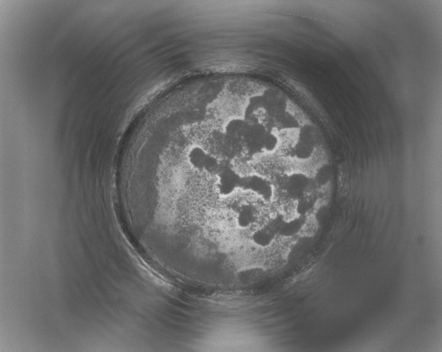 X0000056350725200509232104