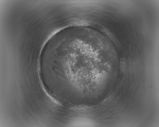 X0000056350726200509232104