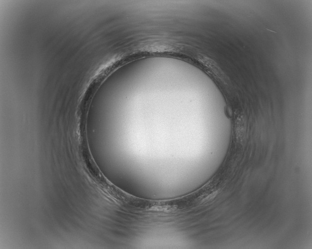 X0000056350727200509232104