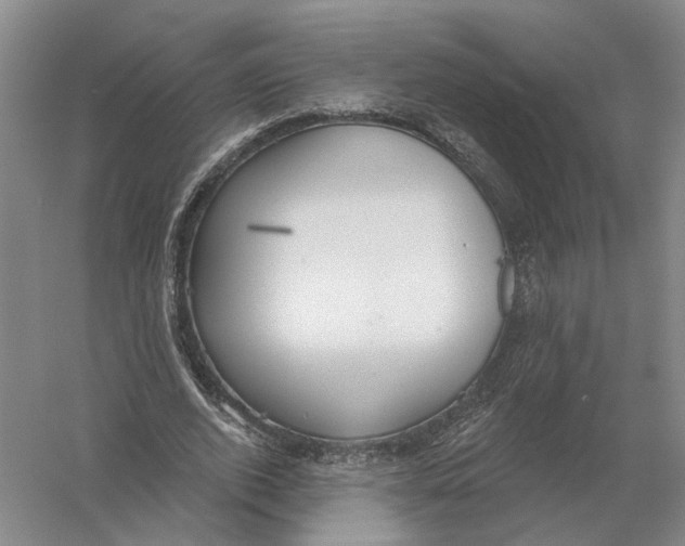 X0000056350728200509232104