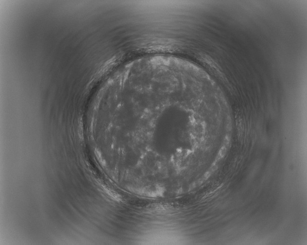 X0000056350729200509232104