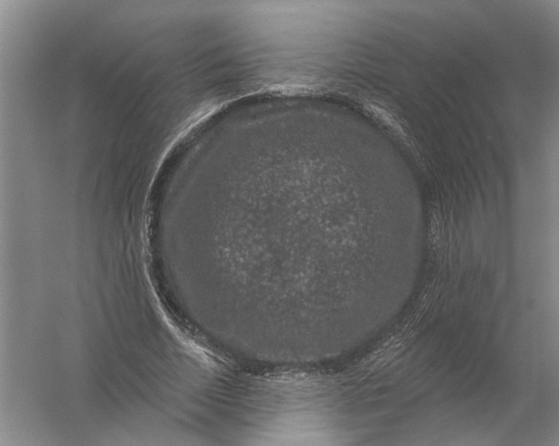 X0000056350730200509232104