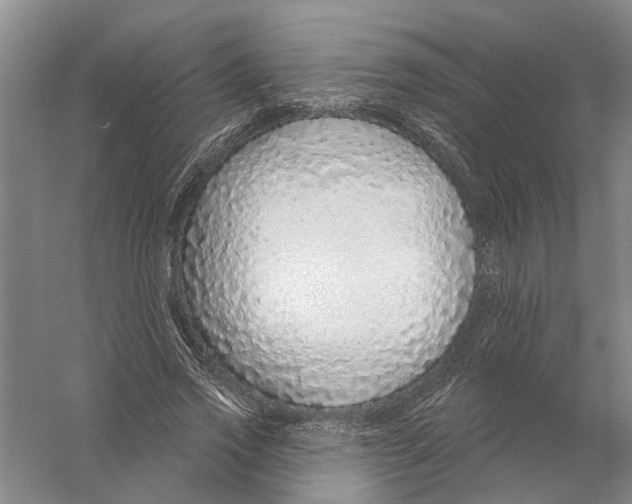 X0000056350733200509232104