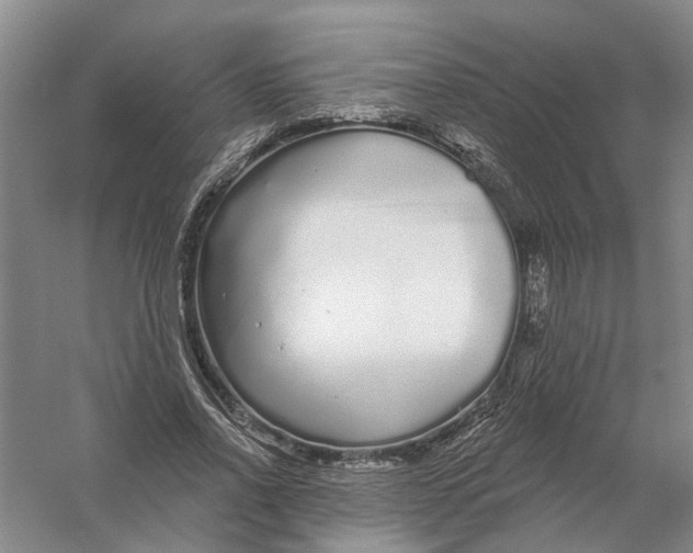 X0000056350734200509232105