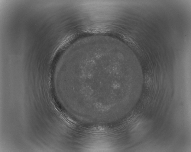 X0000056350735200509232105