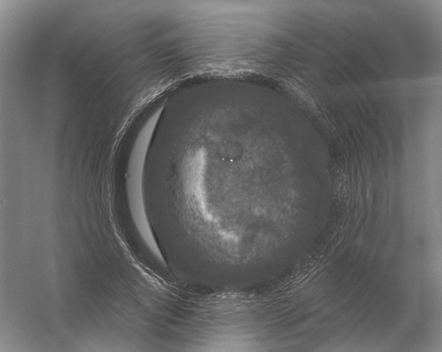 X0000056350736200509232105