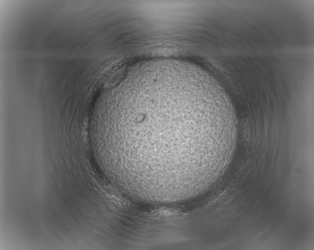 X0000056350737200509232105